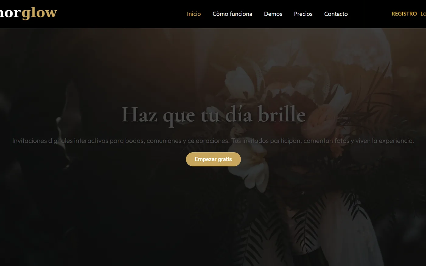 Vista de la web Norglow